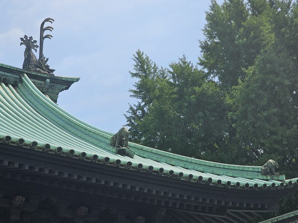 これは珍しい