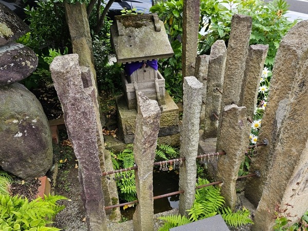 IMG_20240530_174712_(800_x_600_ピクセル)