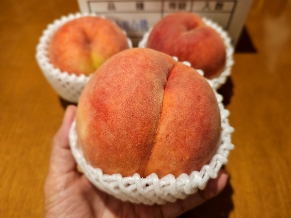 かなりの大玉！