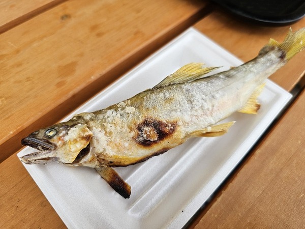 鮎の塩焼き