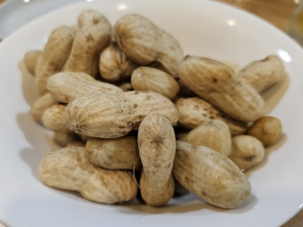 差し入れのおおまさり