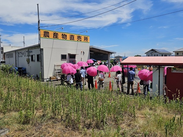 だてかベジフル