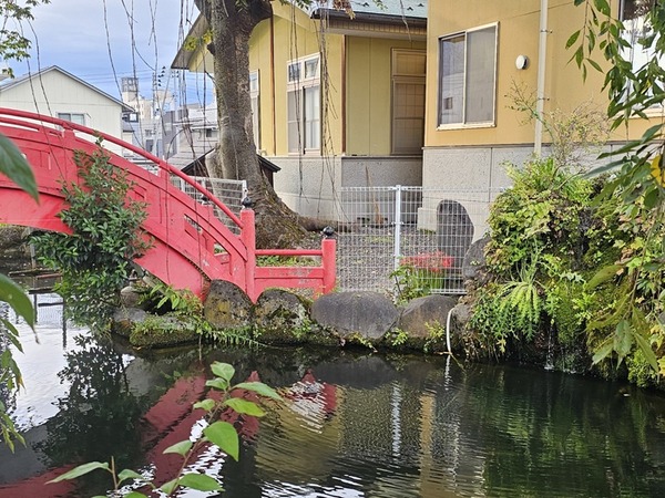 あっ、こんなところにも