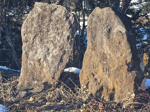 片方は見えない。