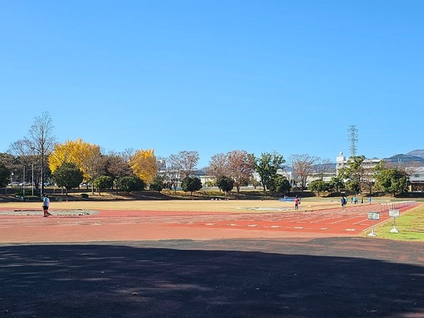 IMG_20231209_115526_(800_x_600_ピクセル)