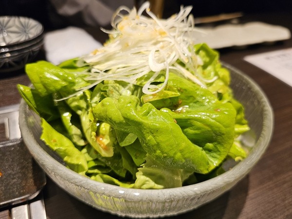 サラダ菜サラダ