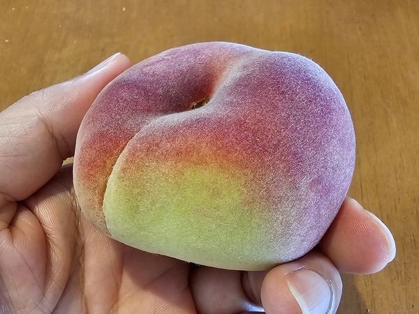 孫悟空になれる