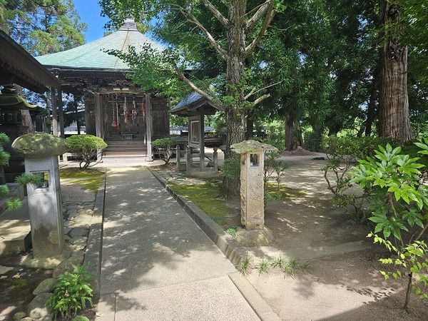 感激するほどキレイ