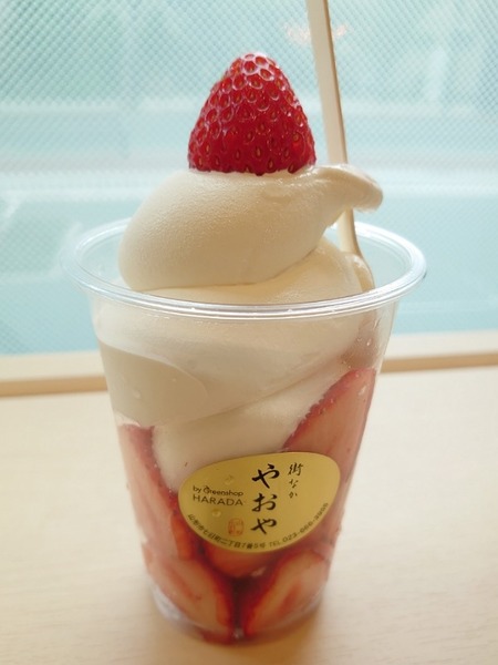 IMG_23042022_104617_(600_x_800_ピクセル)