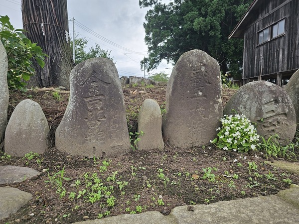 金毘羅山ほか
