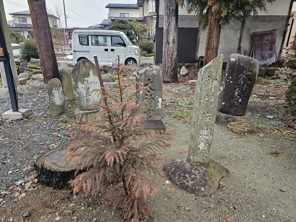 道路から近くに