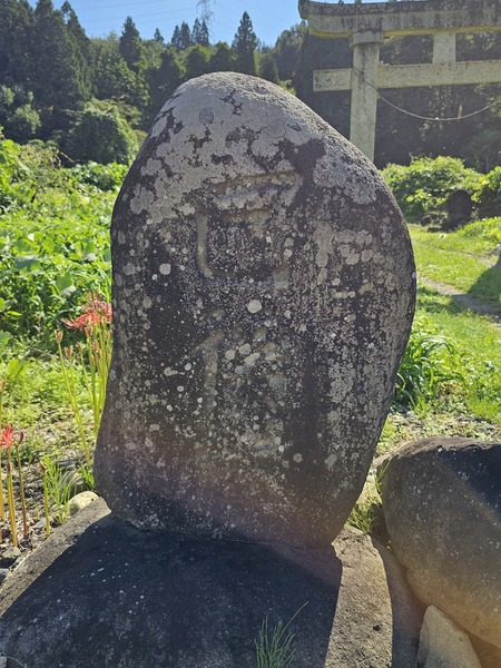 巳待でしょう