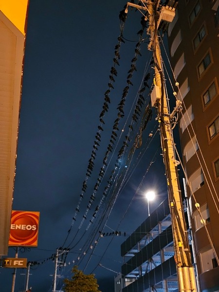 IMG_20240906_225352_(600_x_800_ピクセル)