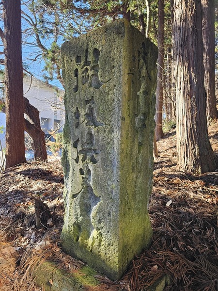 ひっそり隠れて