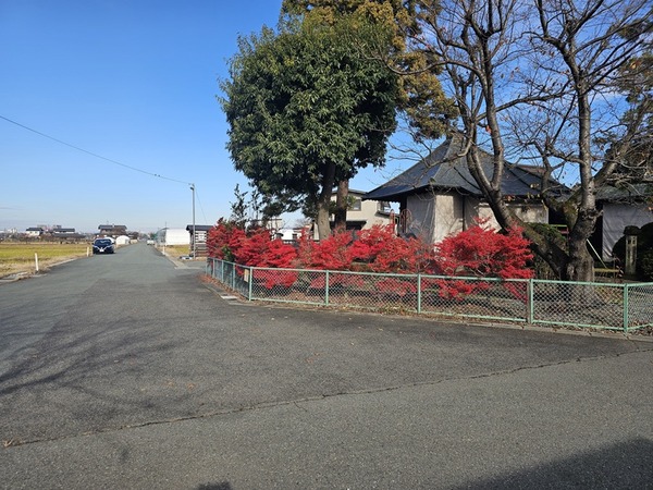 もしやこの道が？