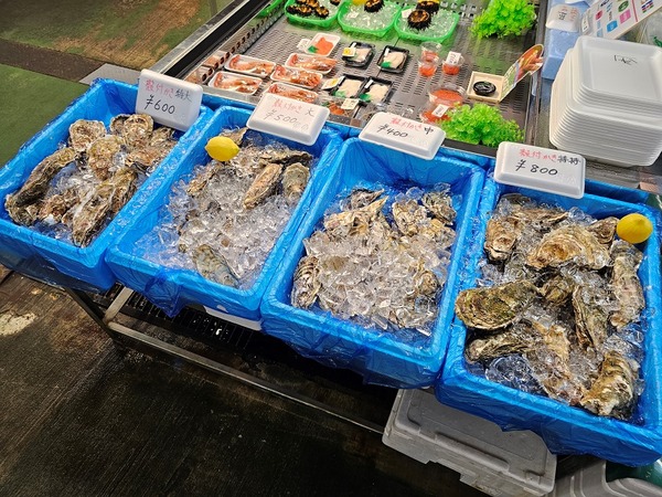 牡蠣が呼んでいる