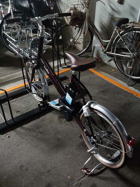 こんな自転車です