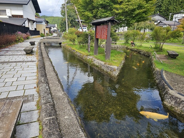 大堰