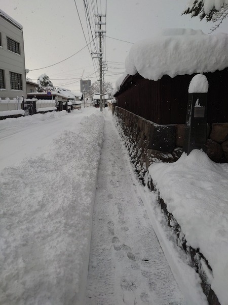 IMG_19122020_100658_(600_x_800_ピクセル)