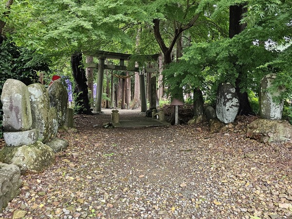 石碑がたくさん
