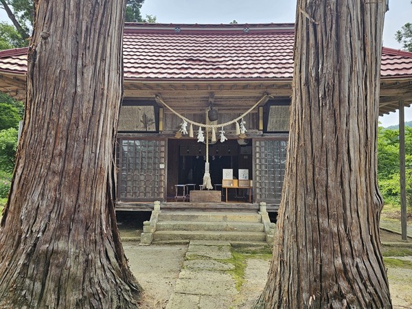 巨木の向こうに