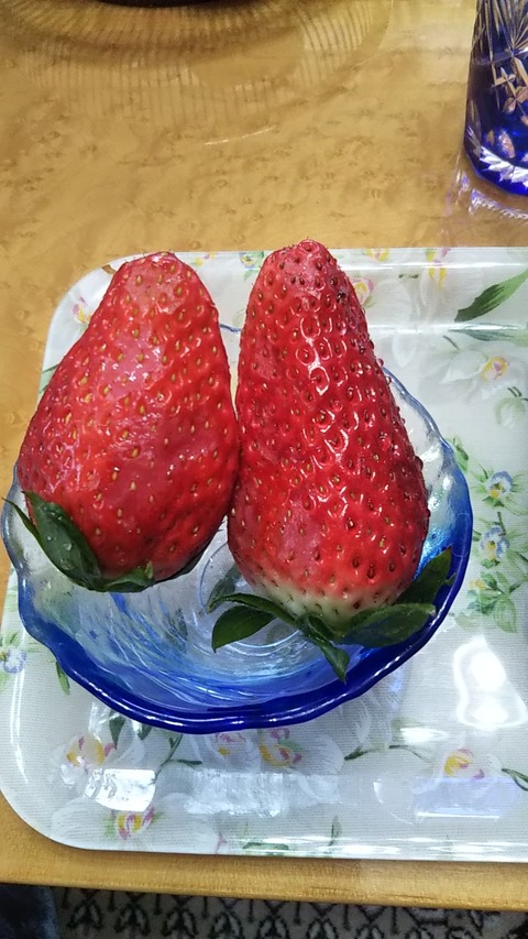 イチゴ大