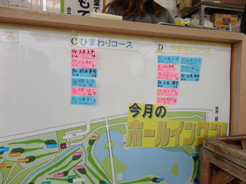 アルバトロスひまわりコース