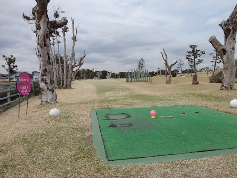 ききょう8番