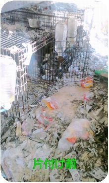 111126_1436_020001[1]