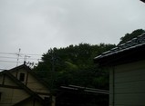 5d2aeca1.jpg