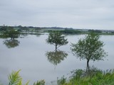 a79d04f3.jpg
