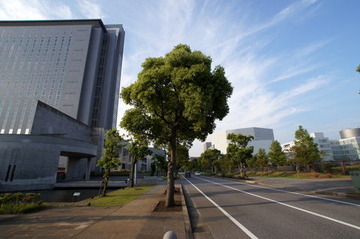 DSC03904