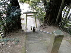 DSC01589