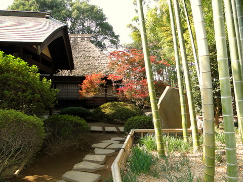 DSC01081-1