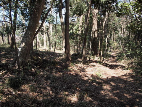 P3225339