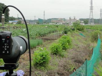 DSC03595