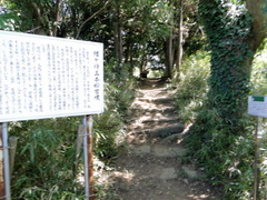 DSC00828
