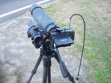 PA290077
