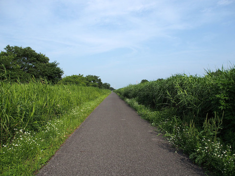 P7122374[1]