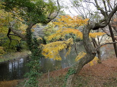 DSC01269