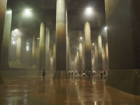 P8030527