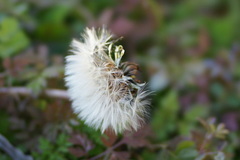 DSC02265-1