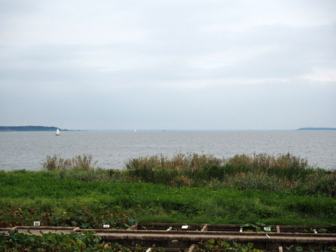 P9250979