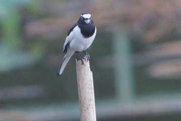 DSC04689[1]