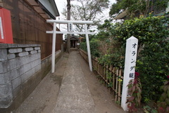 DSC04488