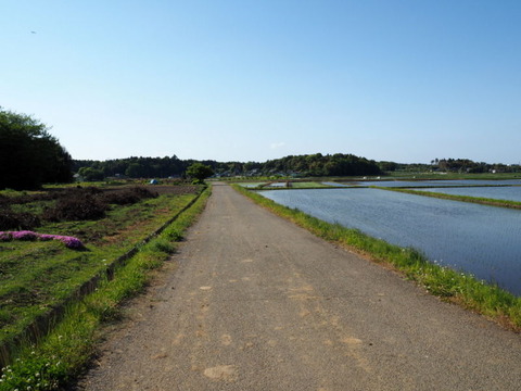 P5024087
