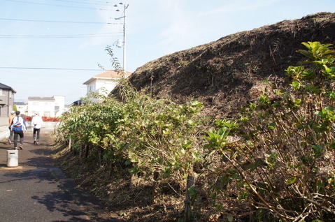 DSC06506