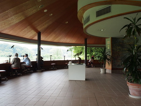 P5233389