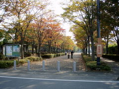 PB080048