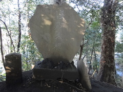 DSC01657